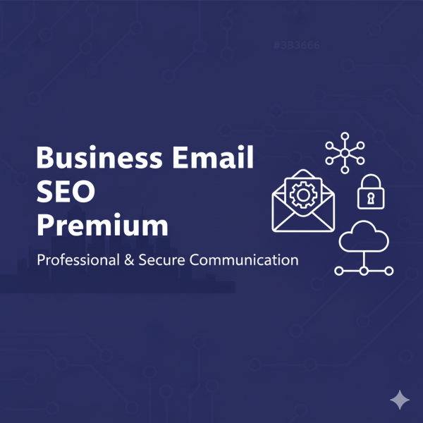 Business Email Setup